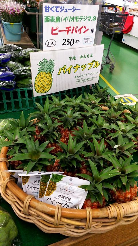 甘くてジューシー、西表島のピーチパイン 250円（税込）。沖縄 西表島産パイナップルです。