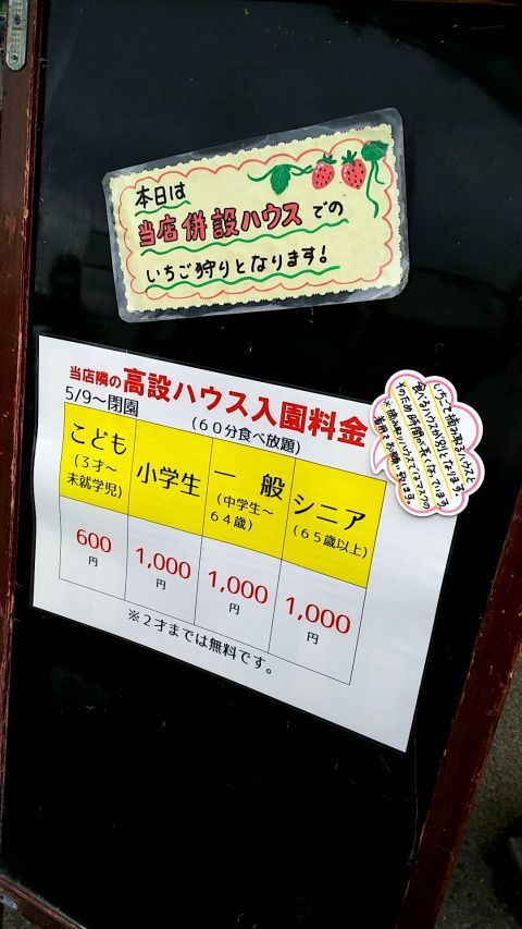 菖蒲グリーンセンターではイチゴ狩りもやっていて、この日も受け付けていました。1000円は安いですね。遅い時期だったからかな？ 時間があればやりたかったなぁ。イチゴ狩りは5月末で終了したので来年を狙いたいと思います。