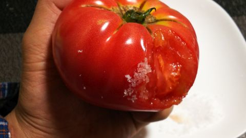 トマトは塩を付けて丸かじり。ウマイ！