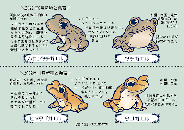 ガクタメ2023_蛙ノ庄1