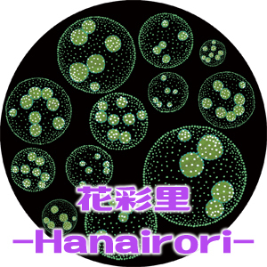 2023xmas_花彩里-Hanairori-_logo_S