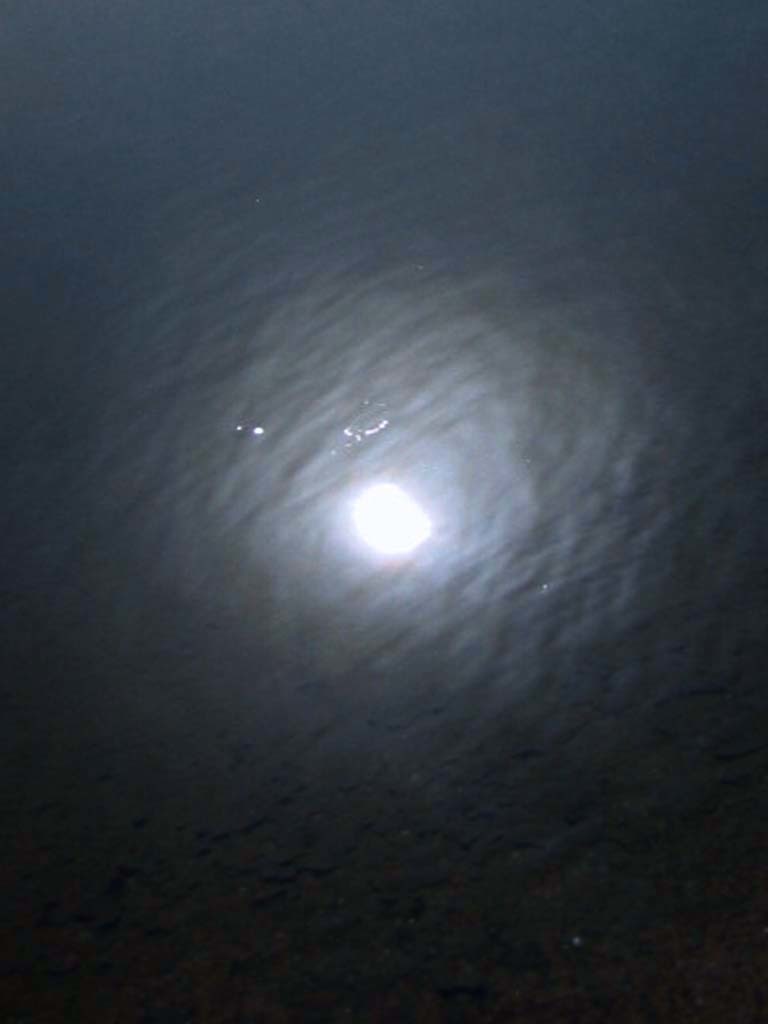 水面の月