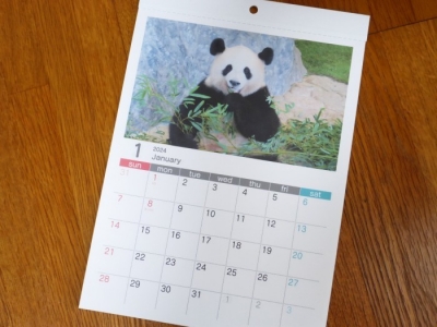 パンダのカレンダー