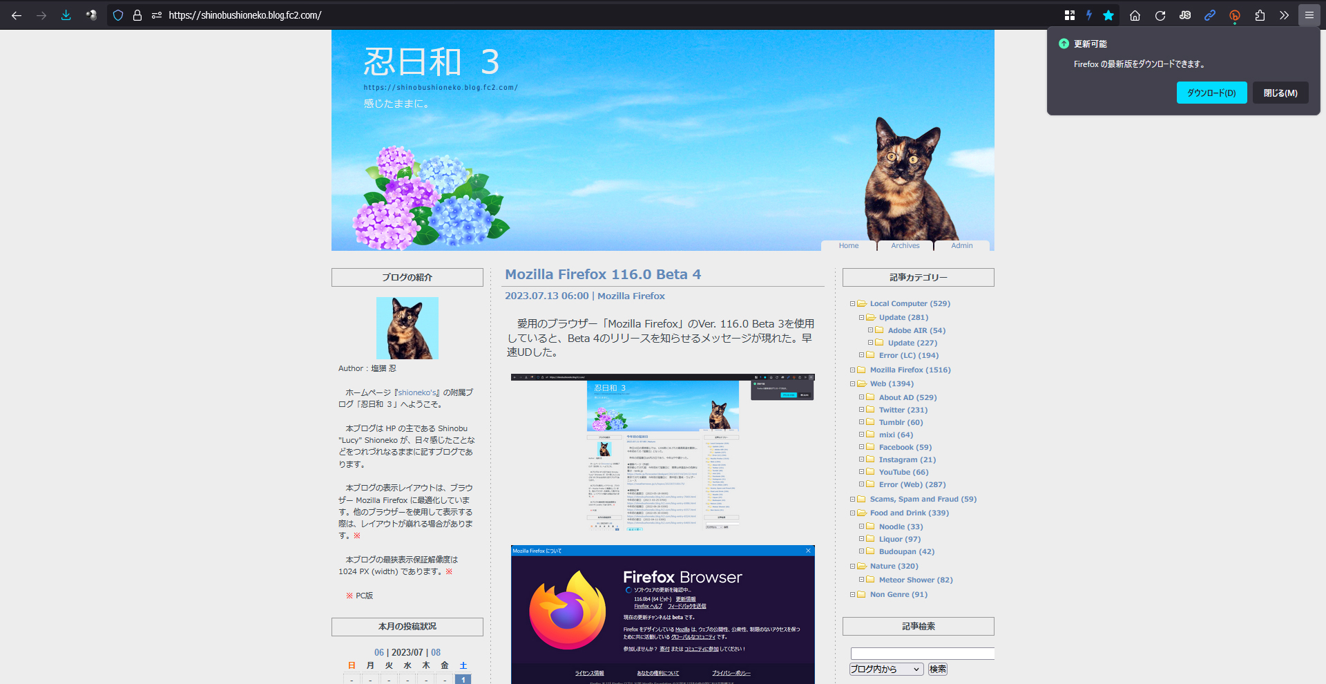 Mozilla Firefox 116.0 Beta 5