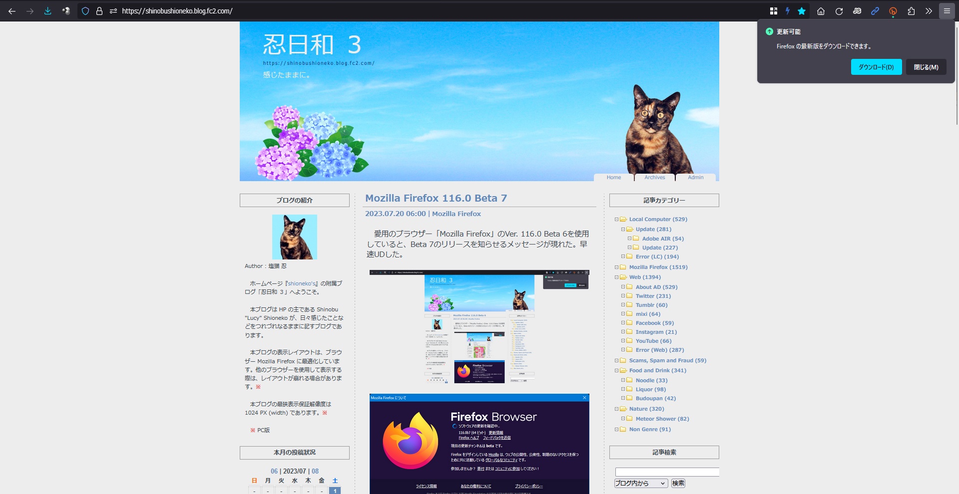 Mozilla Firefox 116.0 Beta 8