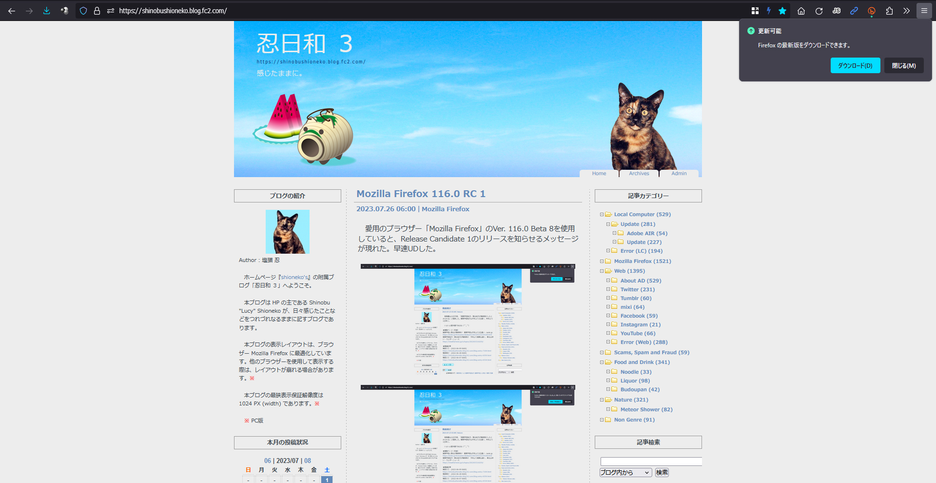 Mozilla Firefox 116.0 RC 2