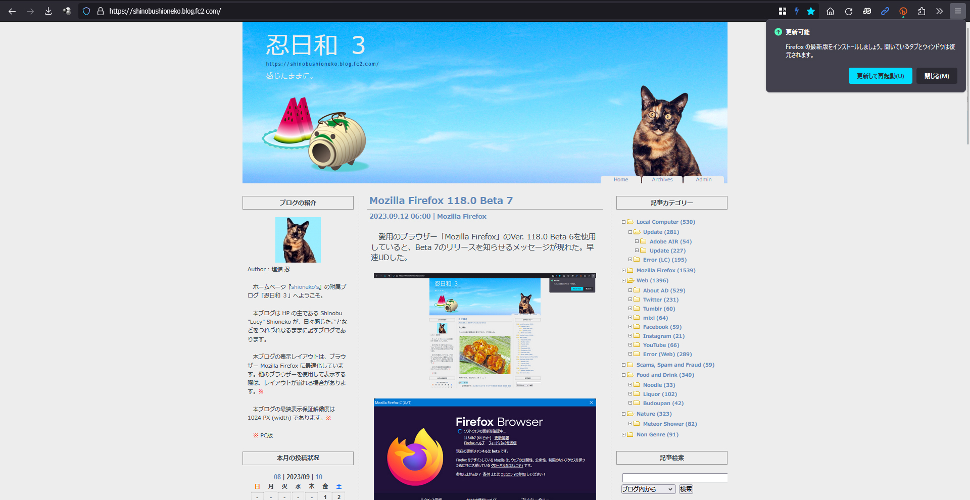 Mozilla Firefox 118.0 RC 1