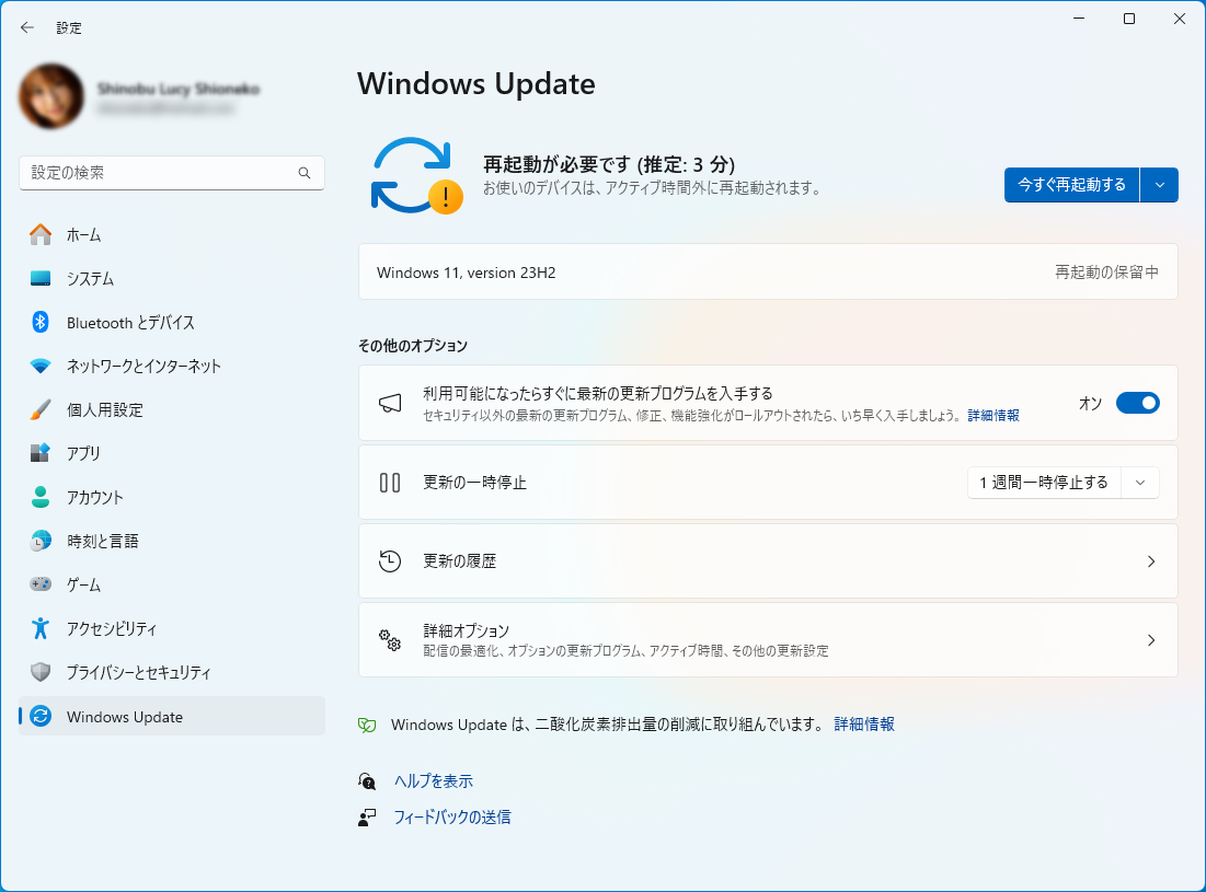 Windows 11 の更新